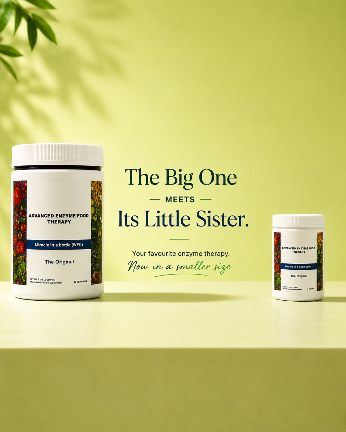 Enzyme therapy mini